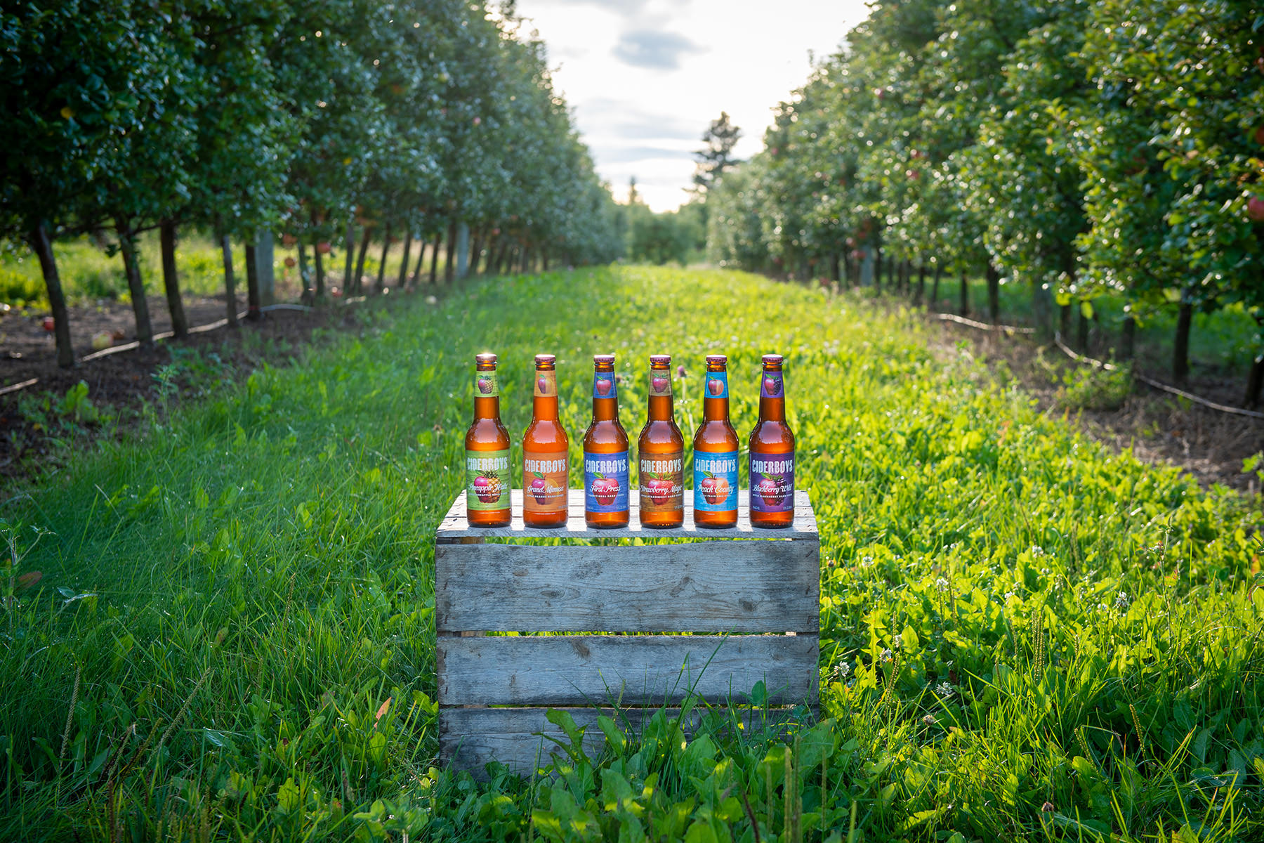 cider bottles sitting on an apple box in an apple orchard