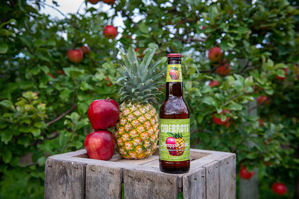 Ciderboys Pineapple Hula next to apples and pineapple in an apple orchard