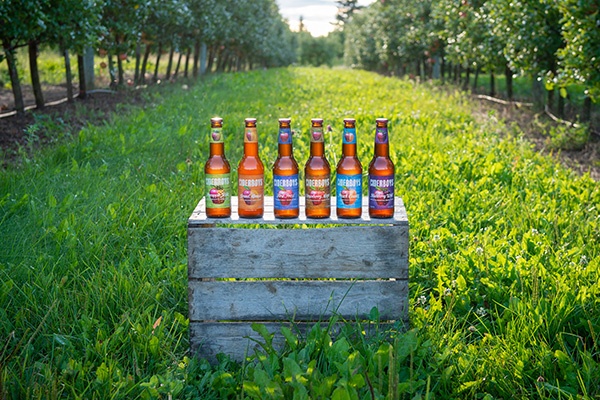 Ciderboys bottles sitting on an apple box in an apple orchard orchard